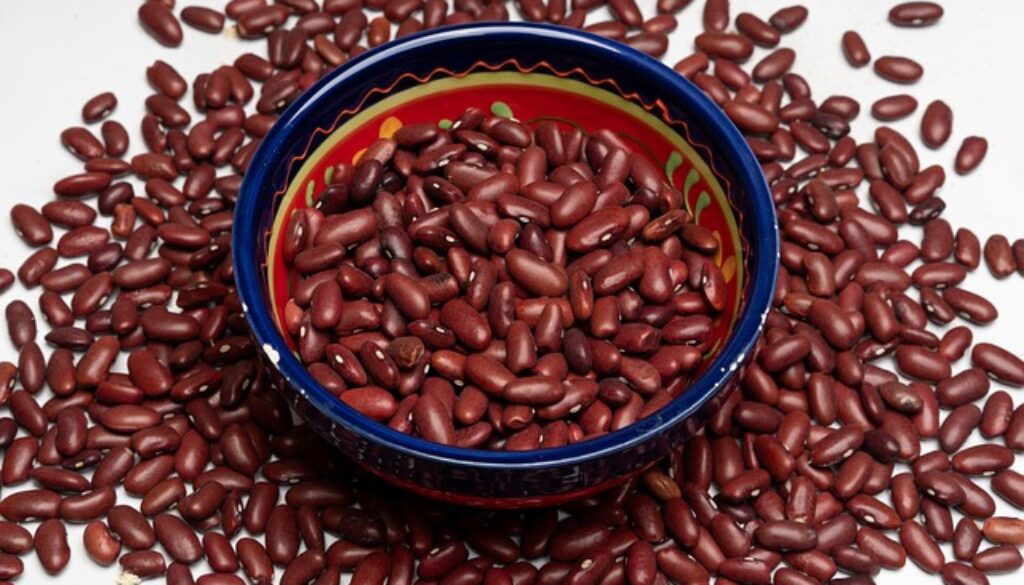 kidney-beans-7451006_640